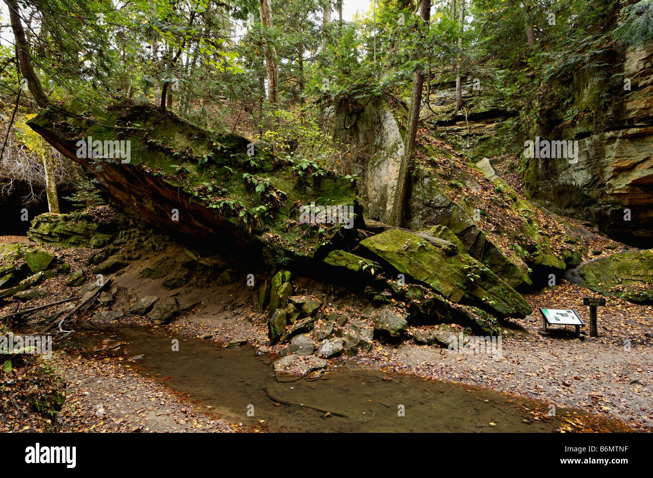 Mossand Fern Covered Wedge Rock - Mossand Fern Covered Wedge Rock In Turkey Run State Park Indiana B6MTNF