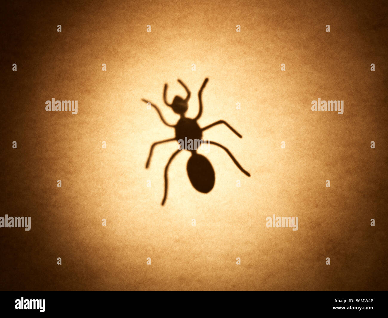Social insect hi-res stock photography and images - Alamy