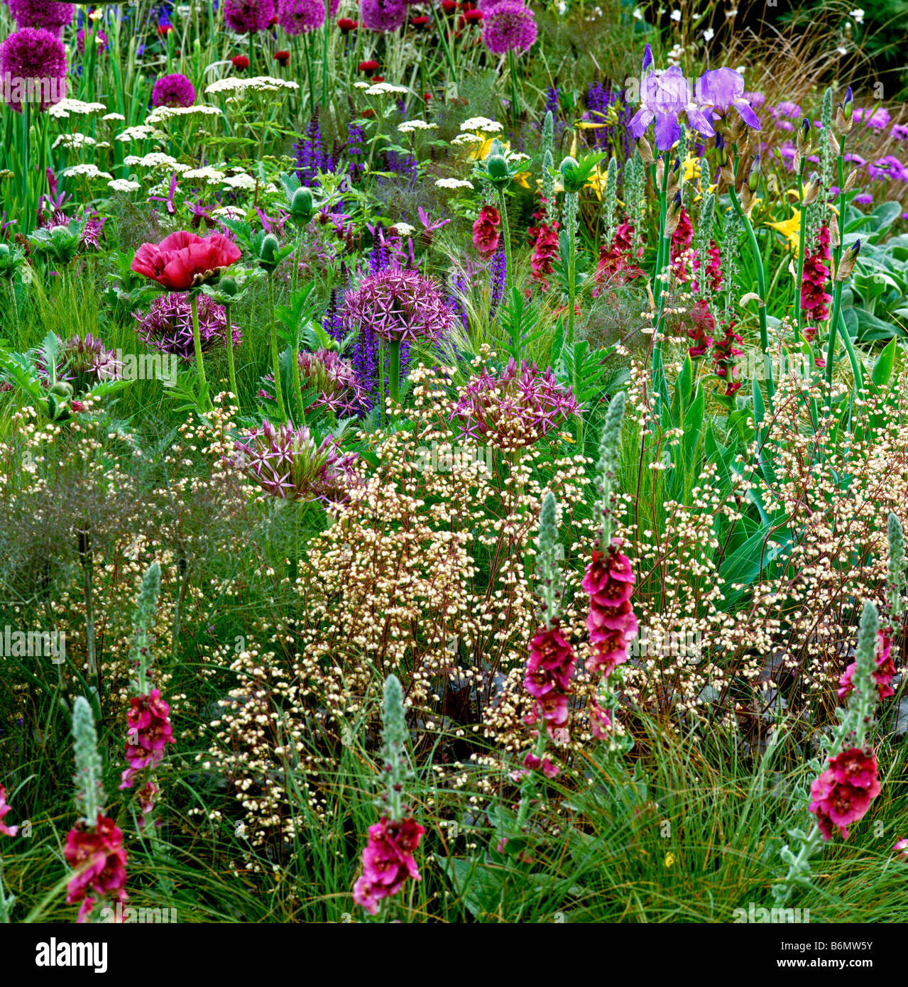 Colourful flowering mixed border Stock Photo