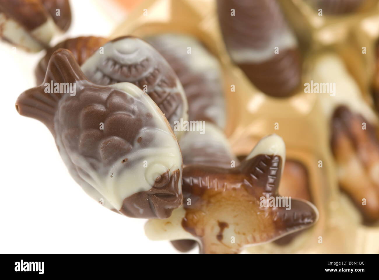 delicious belgian fruits de mer chocolates Stock Photo Alamy