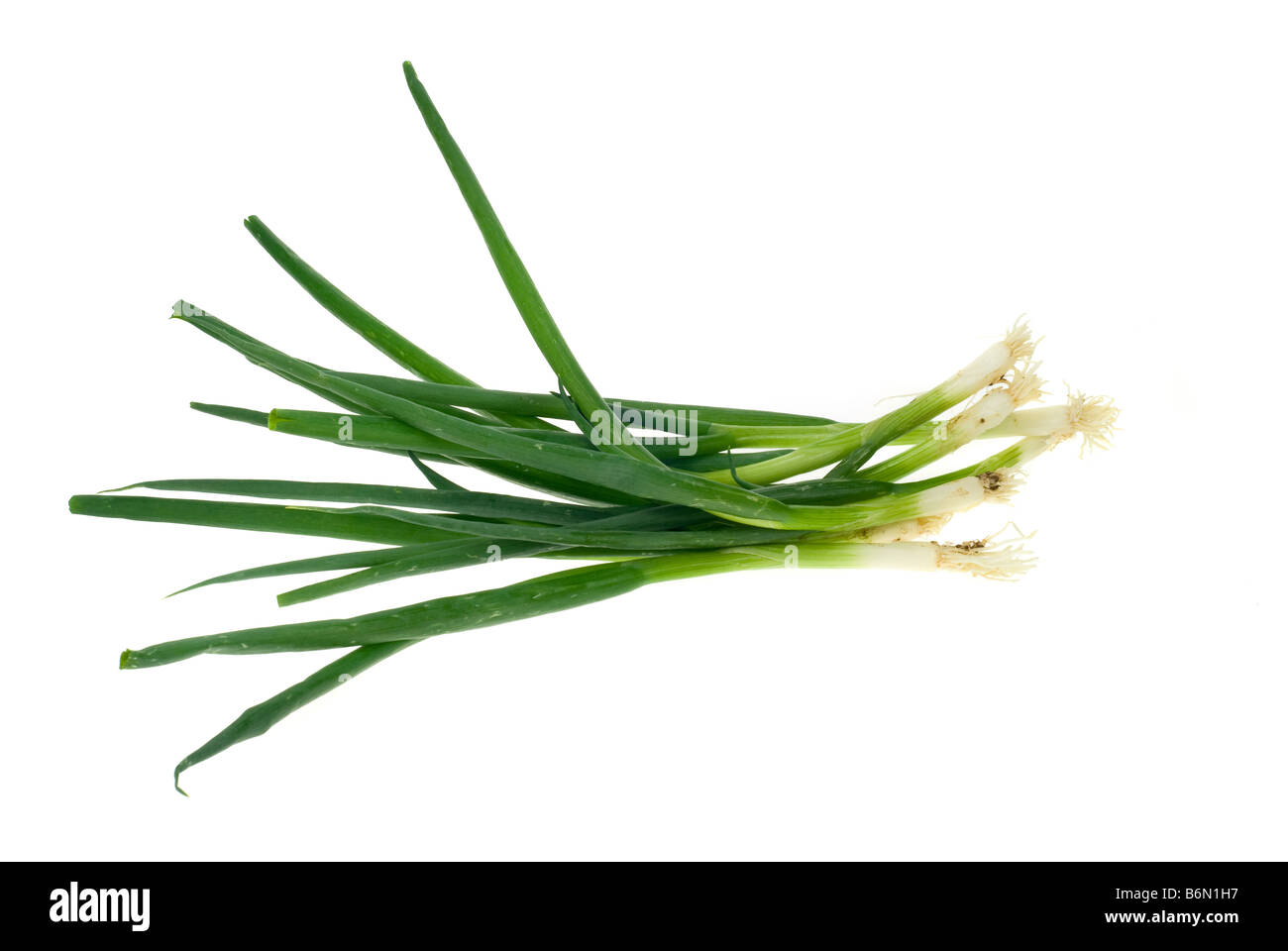 Bunch green onion on Cut Out Stock Images & Pictures - Alamy