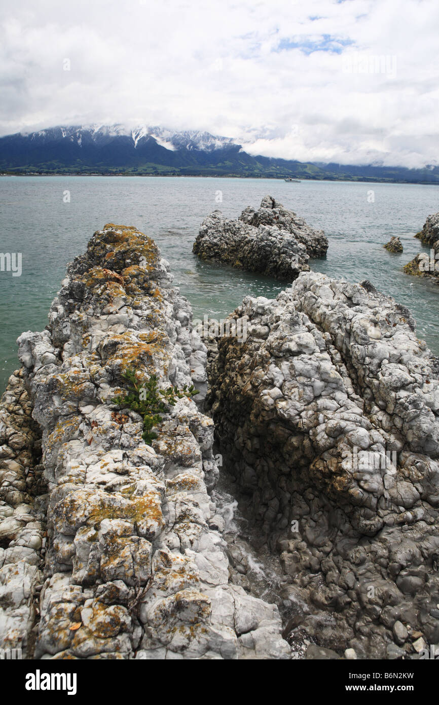 Nz Rocks Formations Rock formations kaikoura new zealand hi-res stock photography and ...