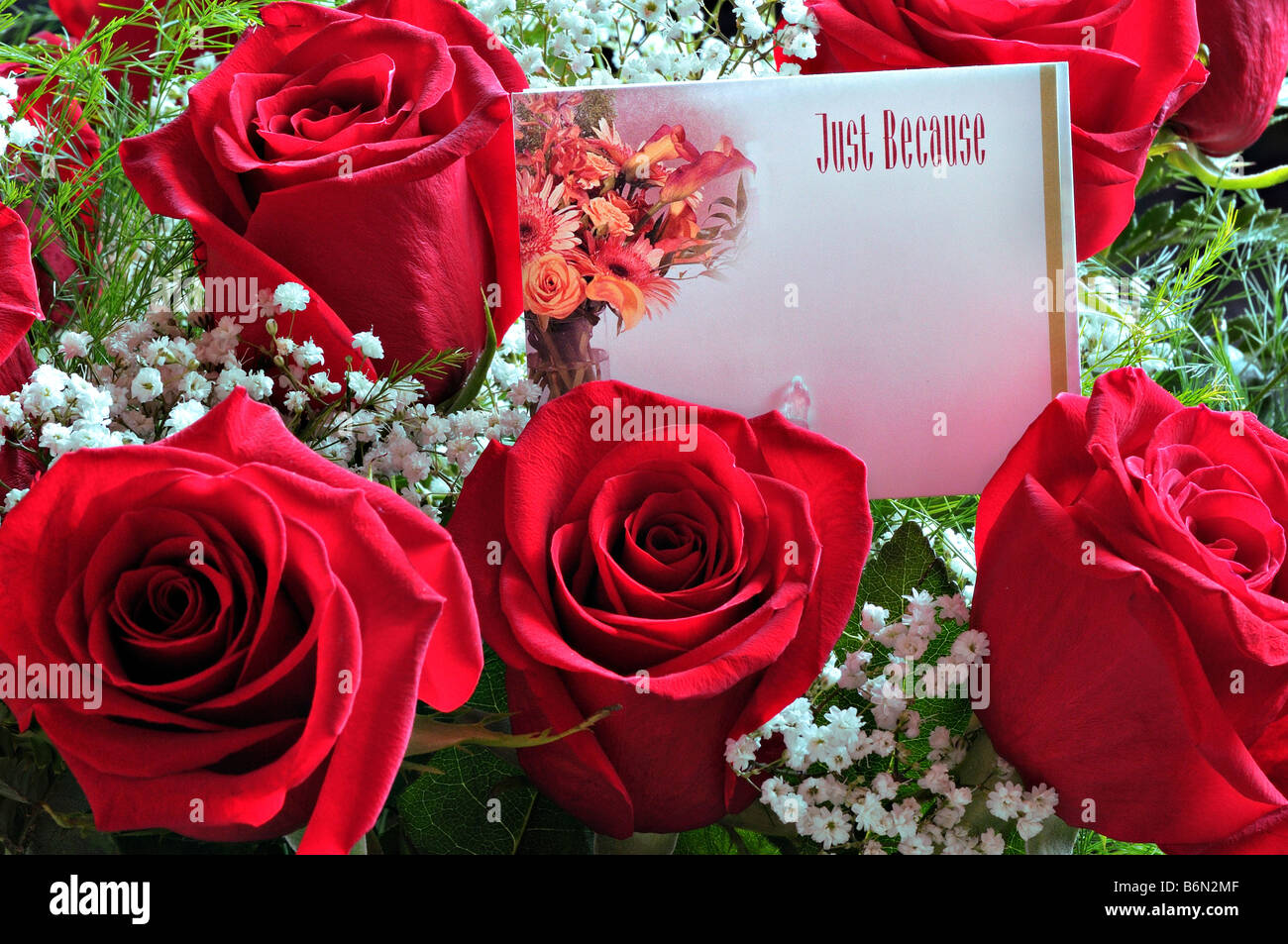 Red Roses 0801 Stock Photo