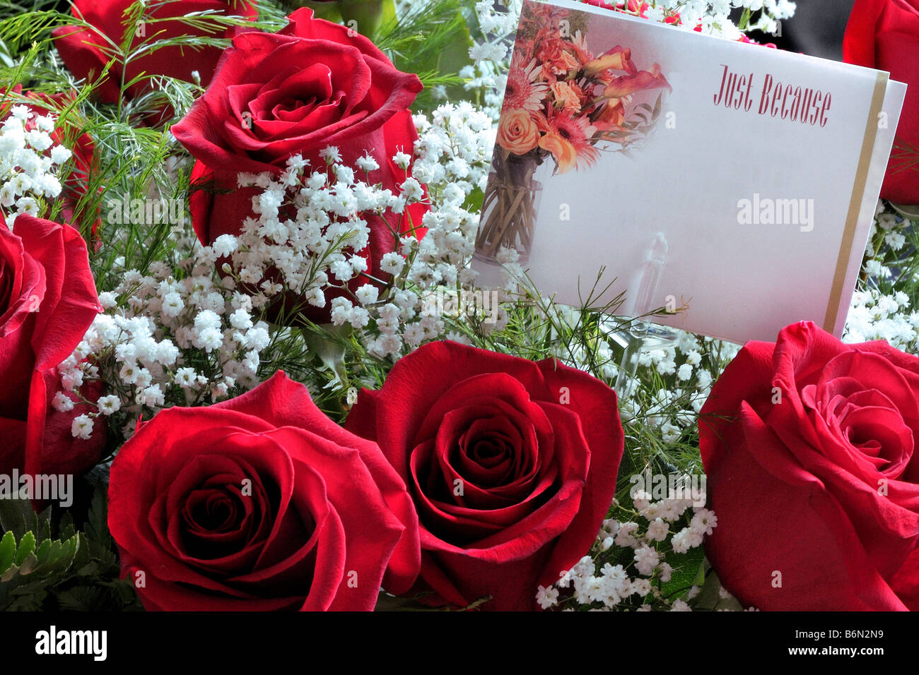 Red Roses 0802 Stock Photo