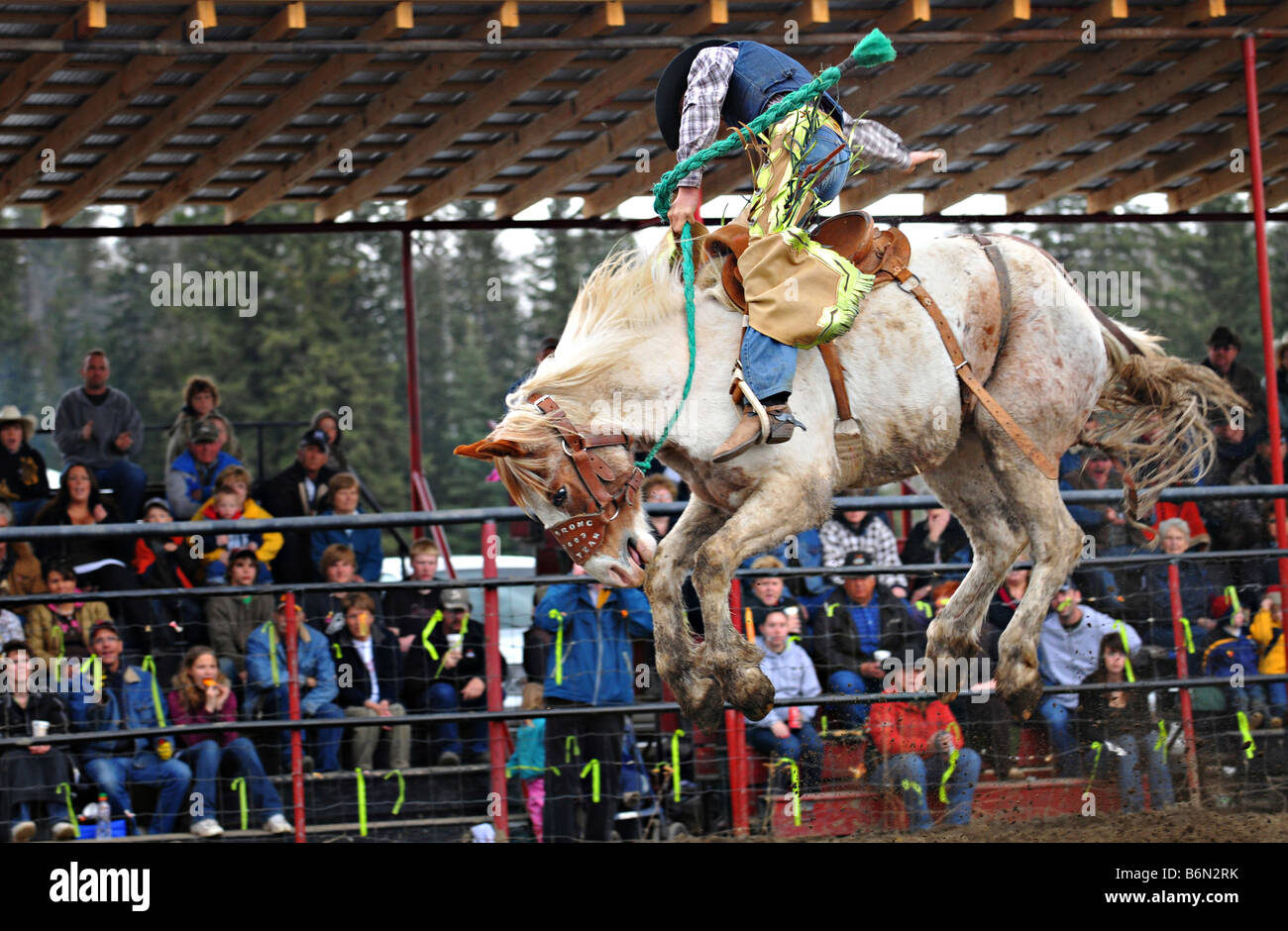 Saddle bronc rider 0810 Stock Photo Alamy