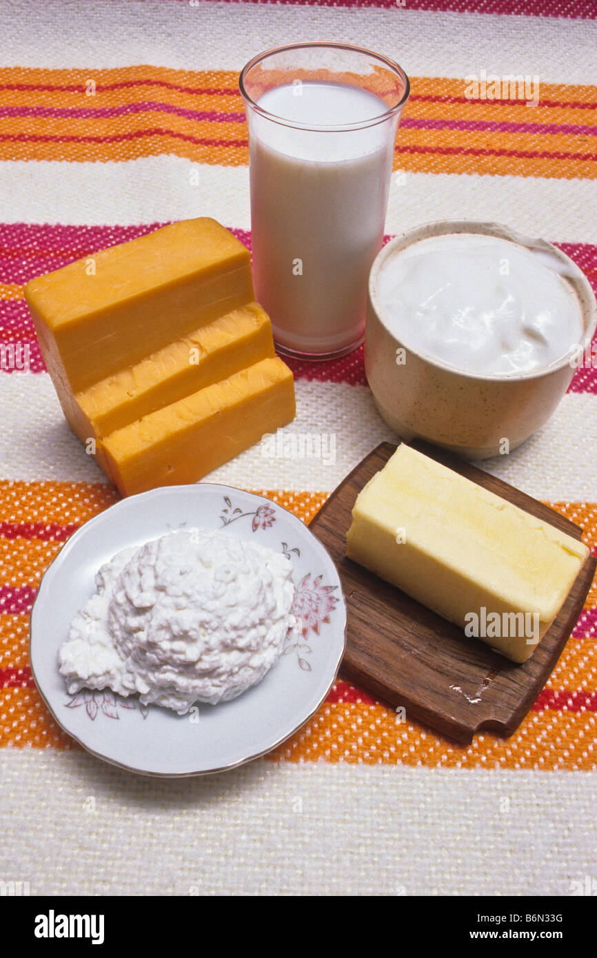 Collection of dairy products including milk and cheeses Stock Photo Alamy