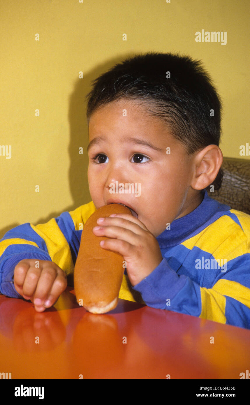 Hispanic toddler eats hot dog bun Stock Photo Alamy