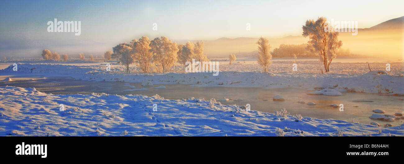 Winter scene by the River Tay Perthshire Scotland UK Stock Photo