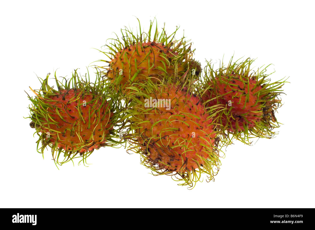 fresh rambutan isolated on a white background Nephelium lappaceum Stock Photo