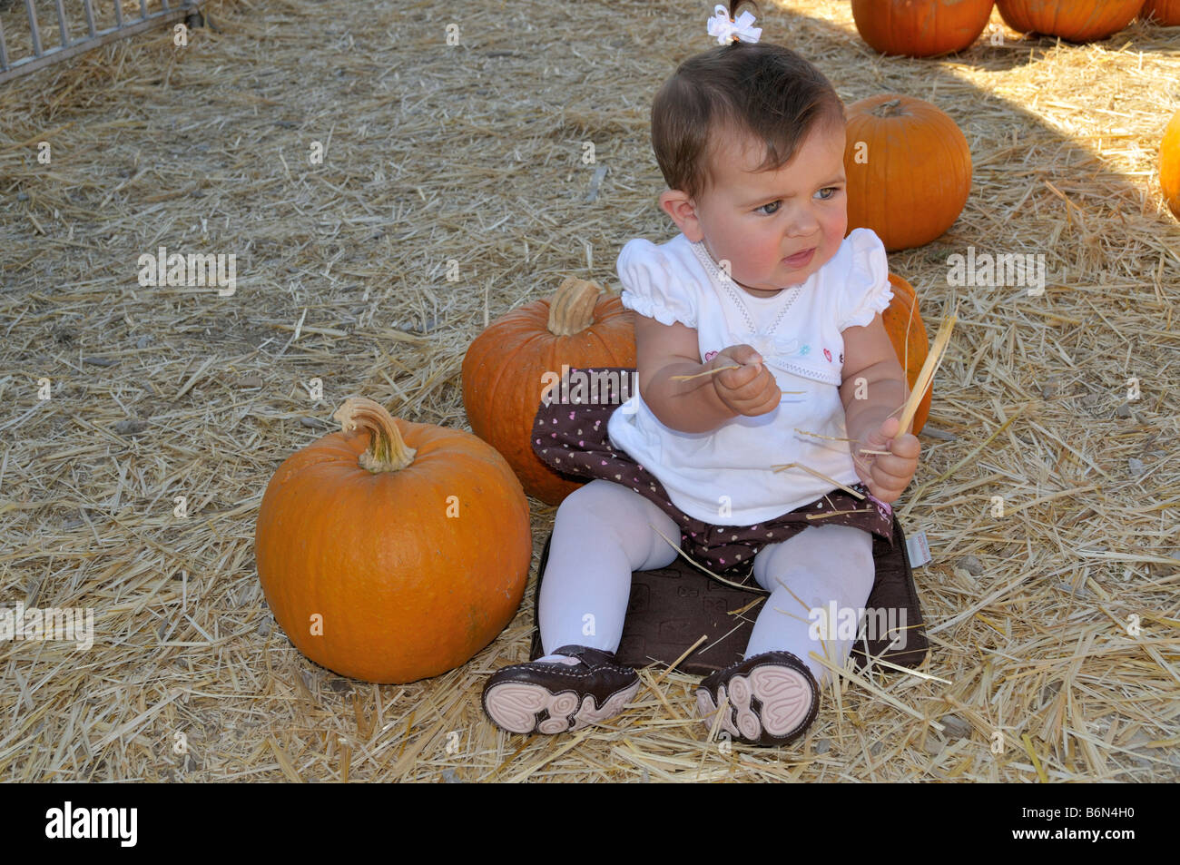 Baby girl sitting next to pumpkin Stock Photo