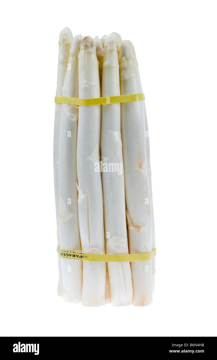 fresh bunch of white asparagus isolated on a white background Stock Photo
