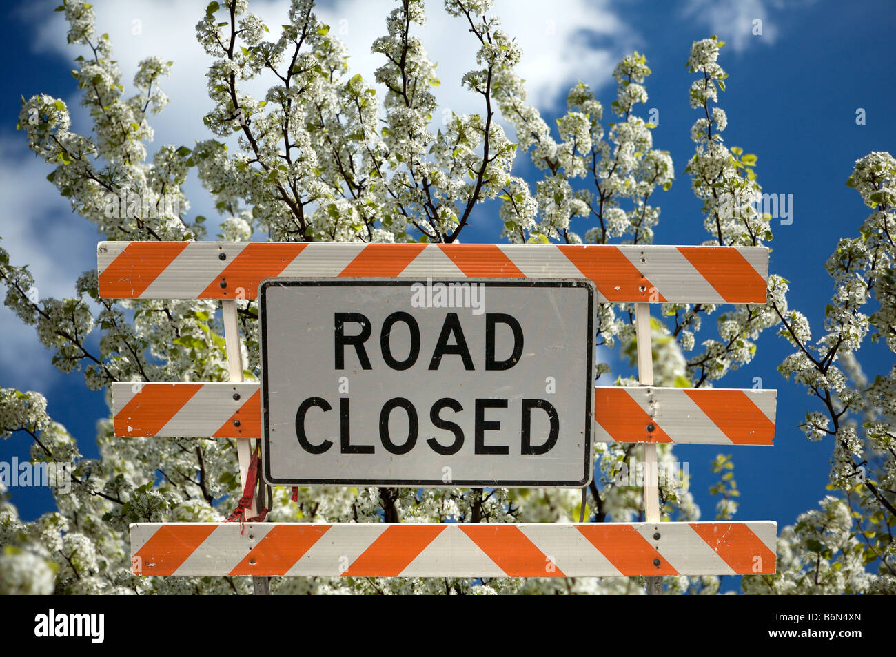 road closed traffic sign Stock Photo Alamy