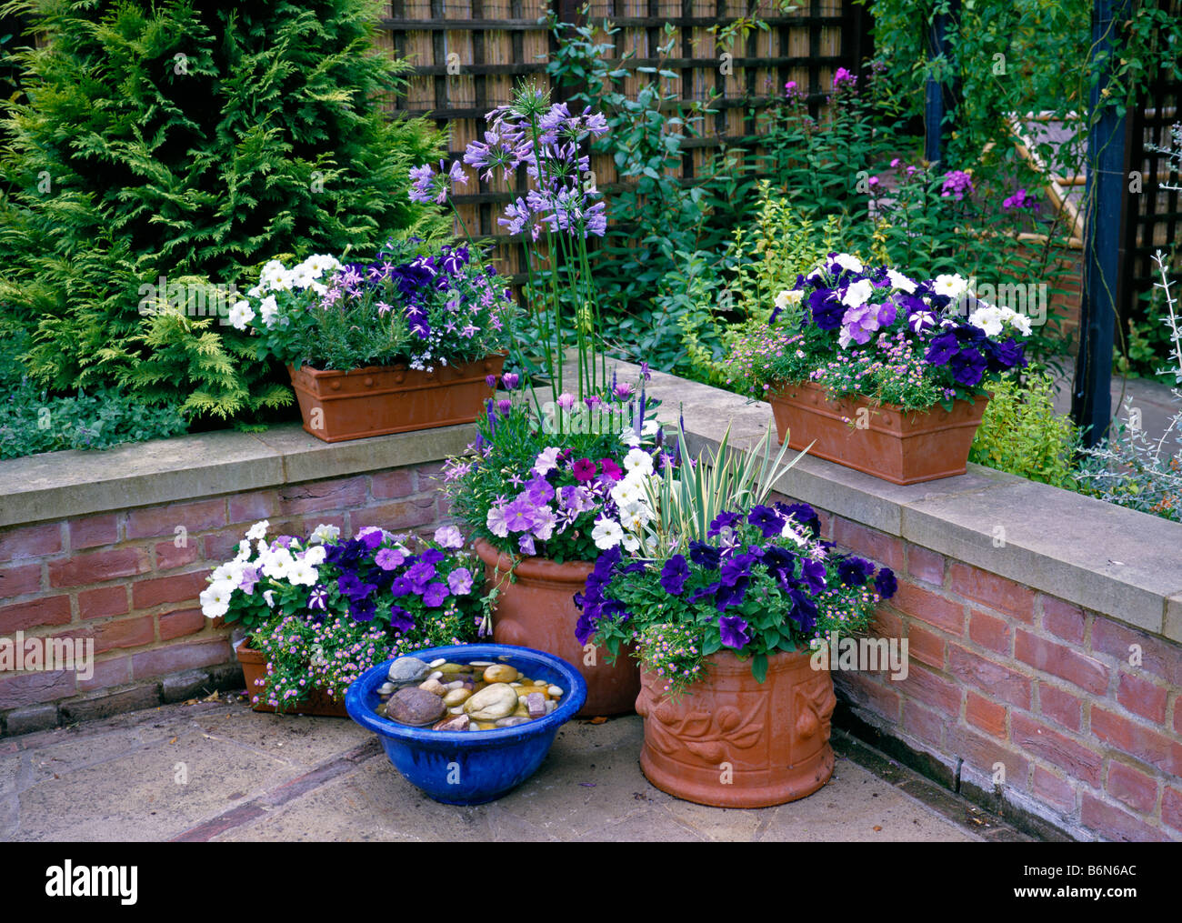 Planted Containers in Mauve and White Stock Photo