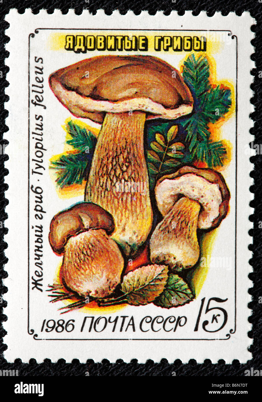 Tylopilus felleus (Boletus felleus), poisonous mushroom, postage stamp, USSR, Russia, 1986 Stock Photo