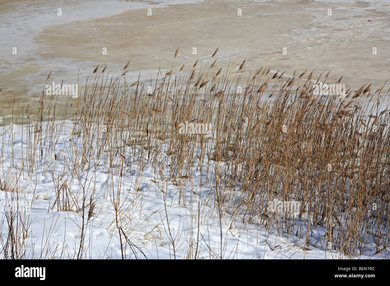 Russian spring landscape hi-res stock photography and images - Alamy