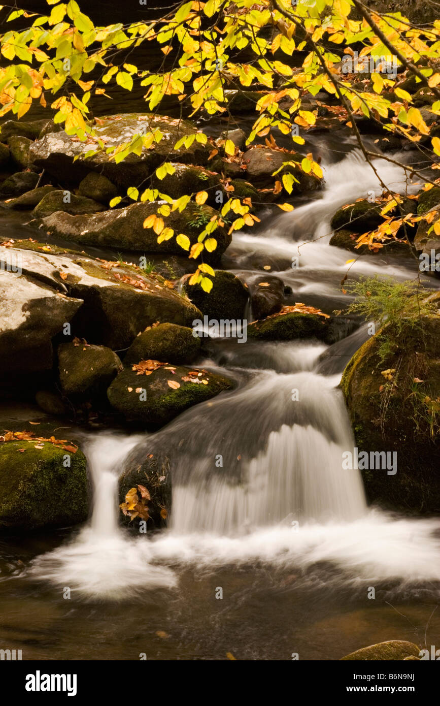 Small waterfall in the Tremont section of the Great Smoky Mountains