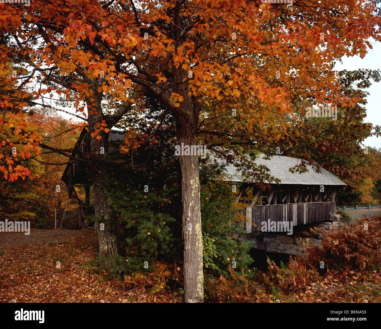 Covered Bridge with Fall Foliage Stock Photo - Alamy