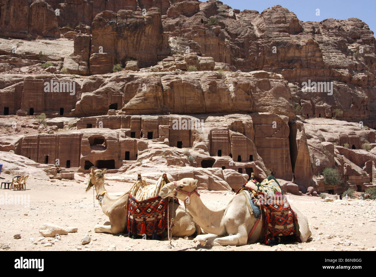 Camels resting in front of tombs in Petra, Wadi Musa, Jordan Stock Photo