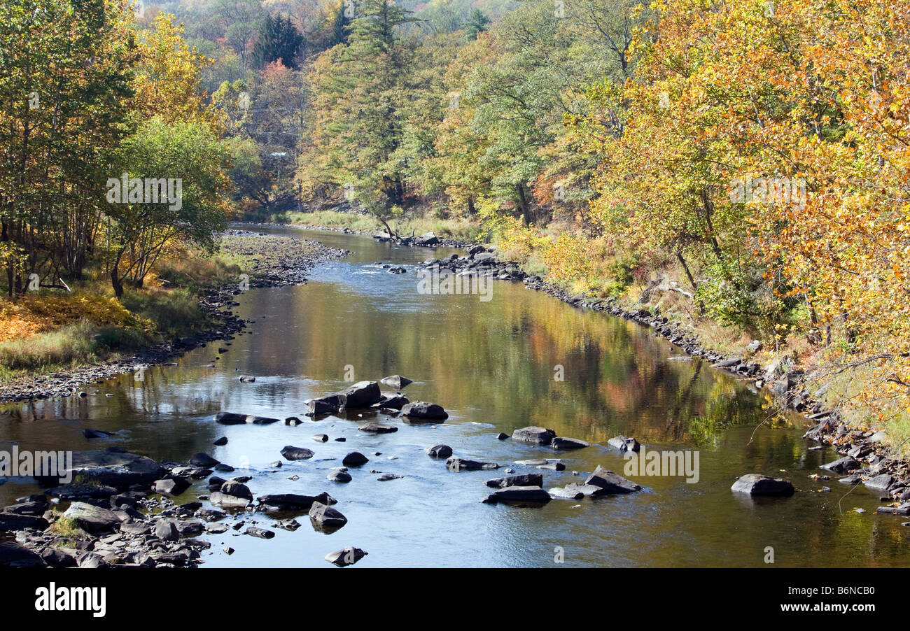 A river scene. Lackawaxen River near the Delaware River in North