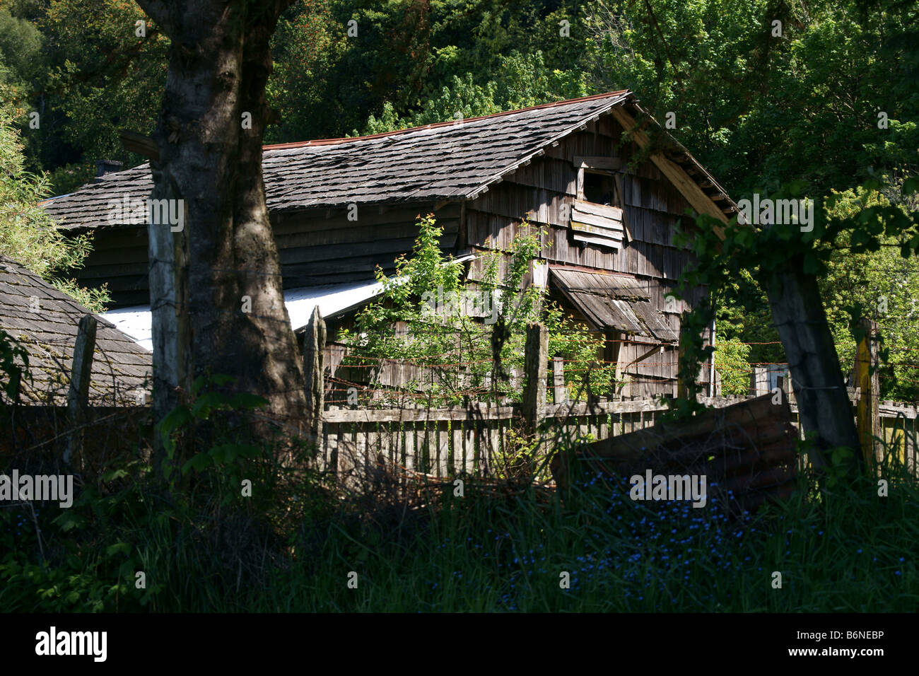 Shingle covered house outside of Puerto Varas, Chile Stock Photo