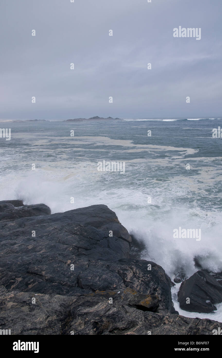 Luderitz Peninsula,Diaz Point,Grosse Bucht, Namibia, SW Africa. Stock Photo