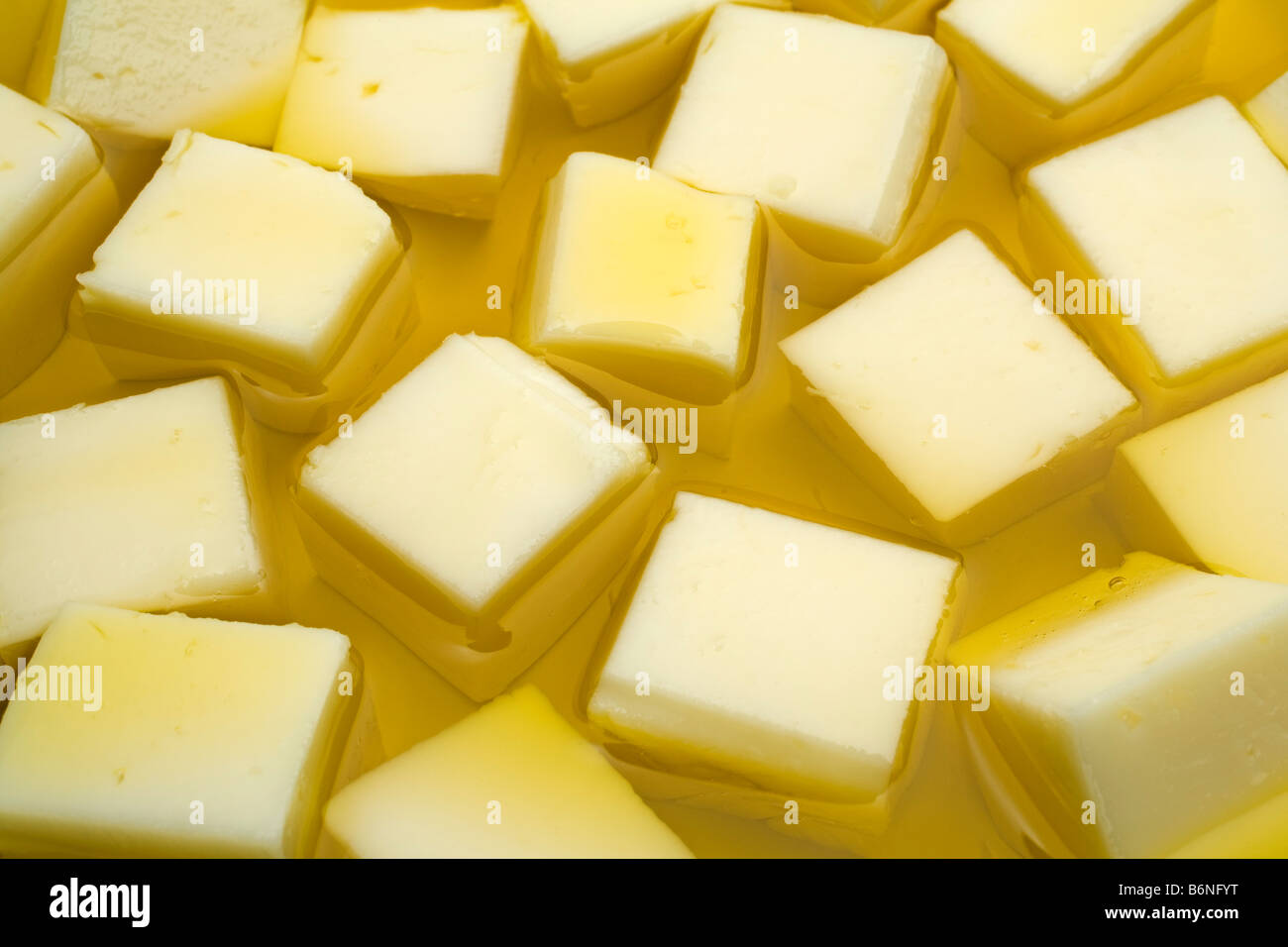 queso en aceite de oliva virgen extra cheese in extra virgin olive oil Stock Photo