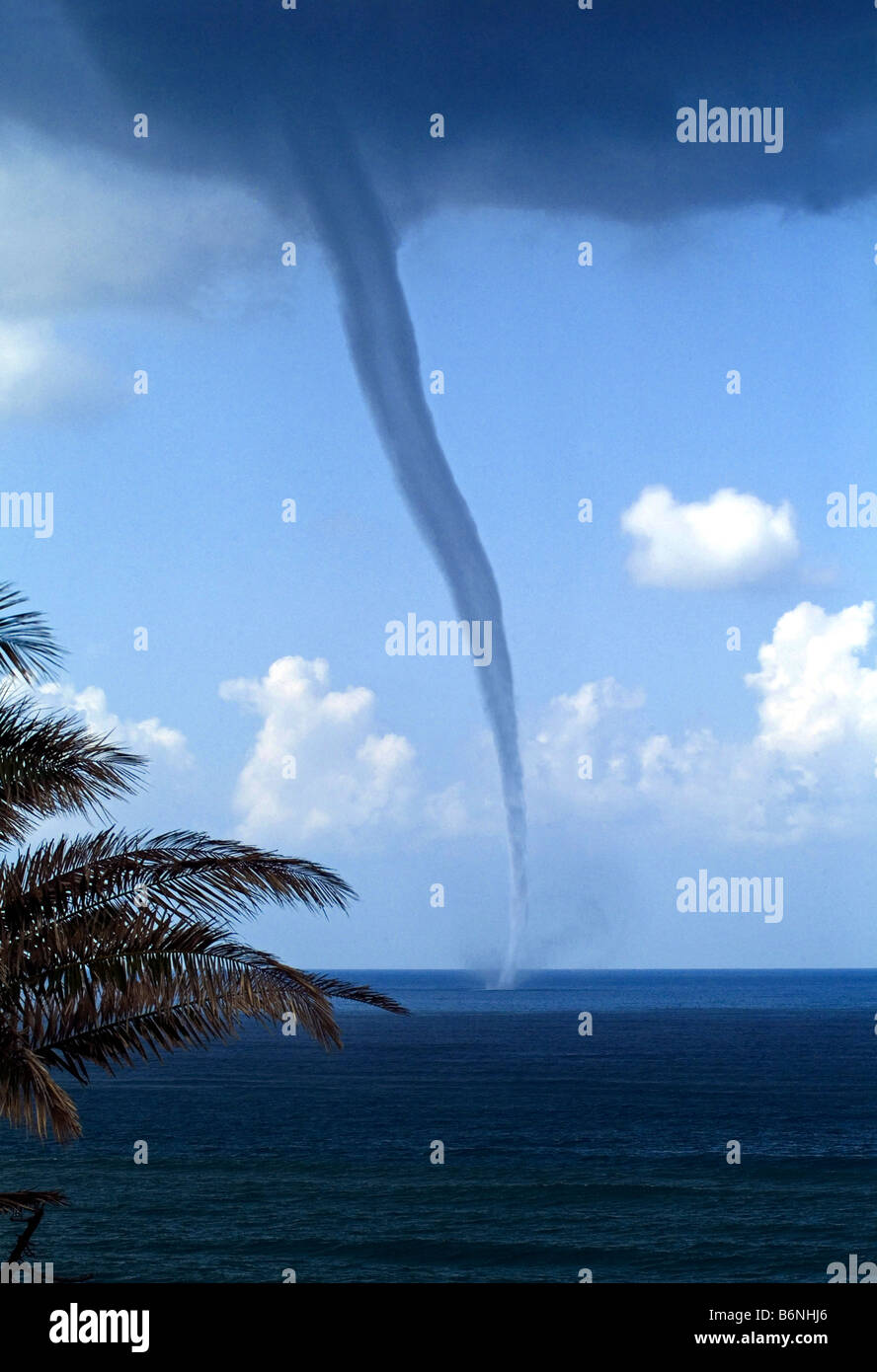 Tornado in the National Park of Circeo in Italy Stock Photo