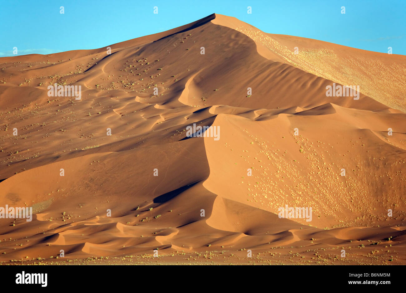 Sand dunes in Namib Desert Sossusvlei area Namib Naukluft National Park ...