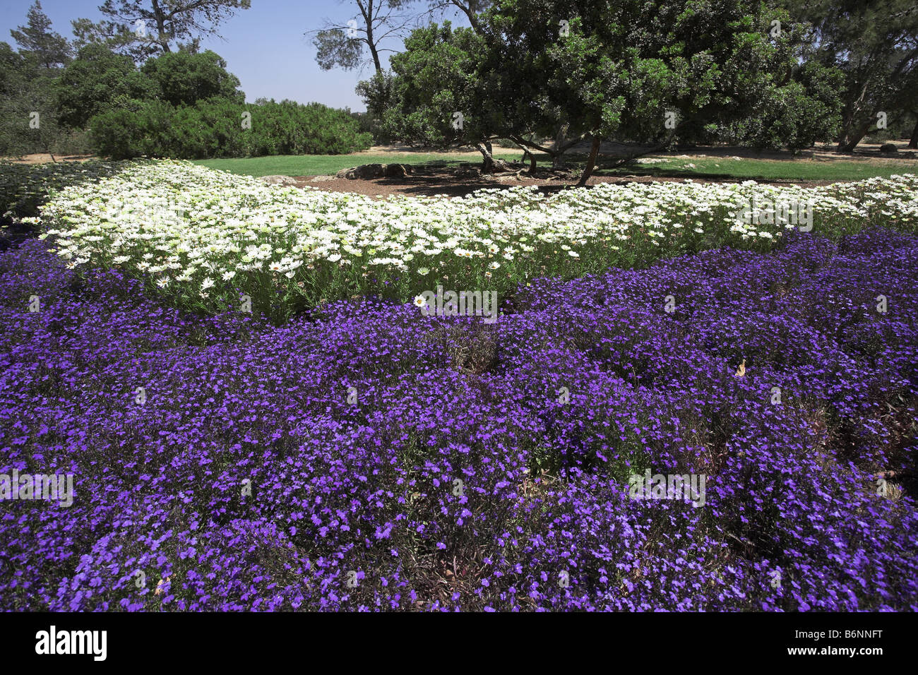 Fine spring day in southern park with green lawns and bright flower ...