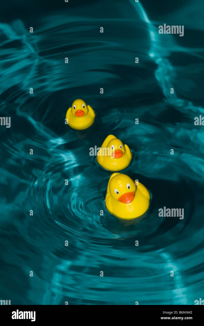 rubber ducks in deep water Stock Photo