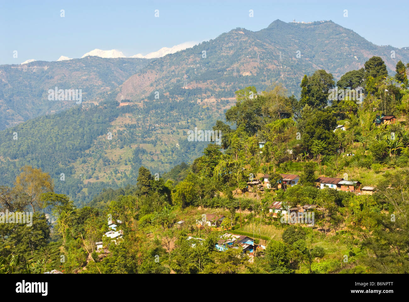 Glenburn Tea Estate, Darjeeling, India Stock Photo