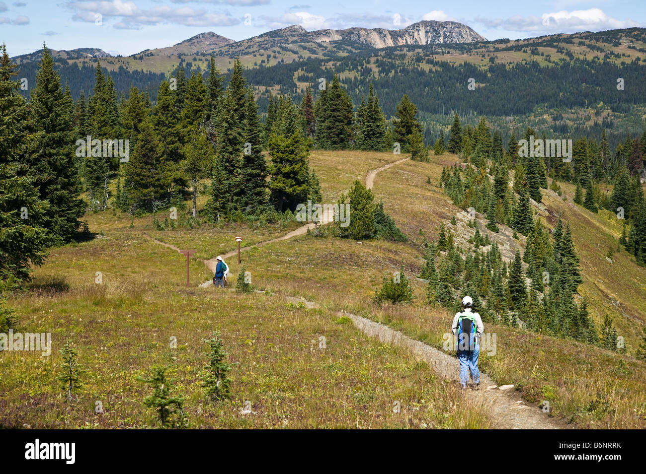 Family hiking Manning Park Park BC Canada Stock Photo