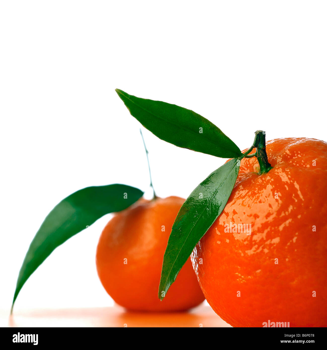 fresh tangerines against white backgound Stock Photo