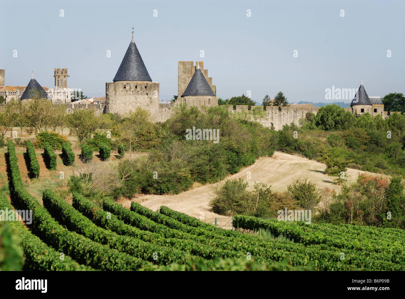 Carcassonne France Grape vines and the medieval walled Cité Stock Photo