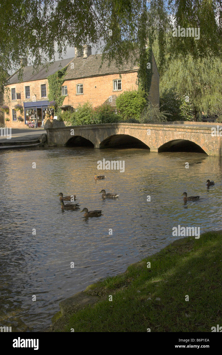 The River Windrush flowing through the picturesque Cotswold village of Bourton-on-the-Water, Gloucestershire. Stock Photo