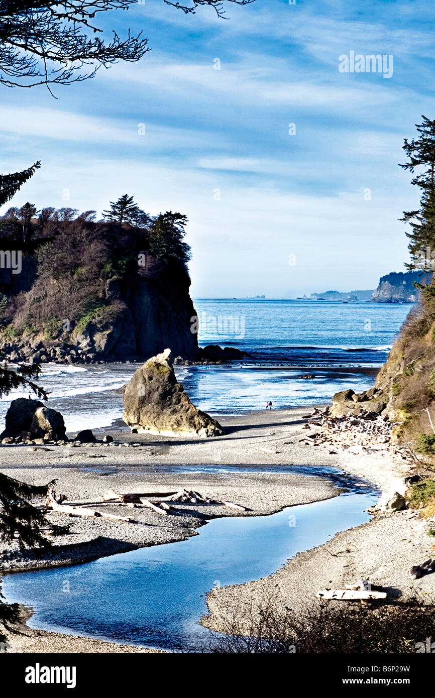 Image looking down through the trees to Ruby Beach and the rock features out in the water and along the beach Stock Photo