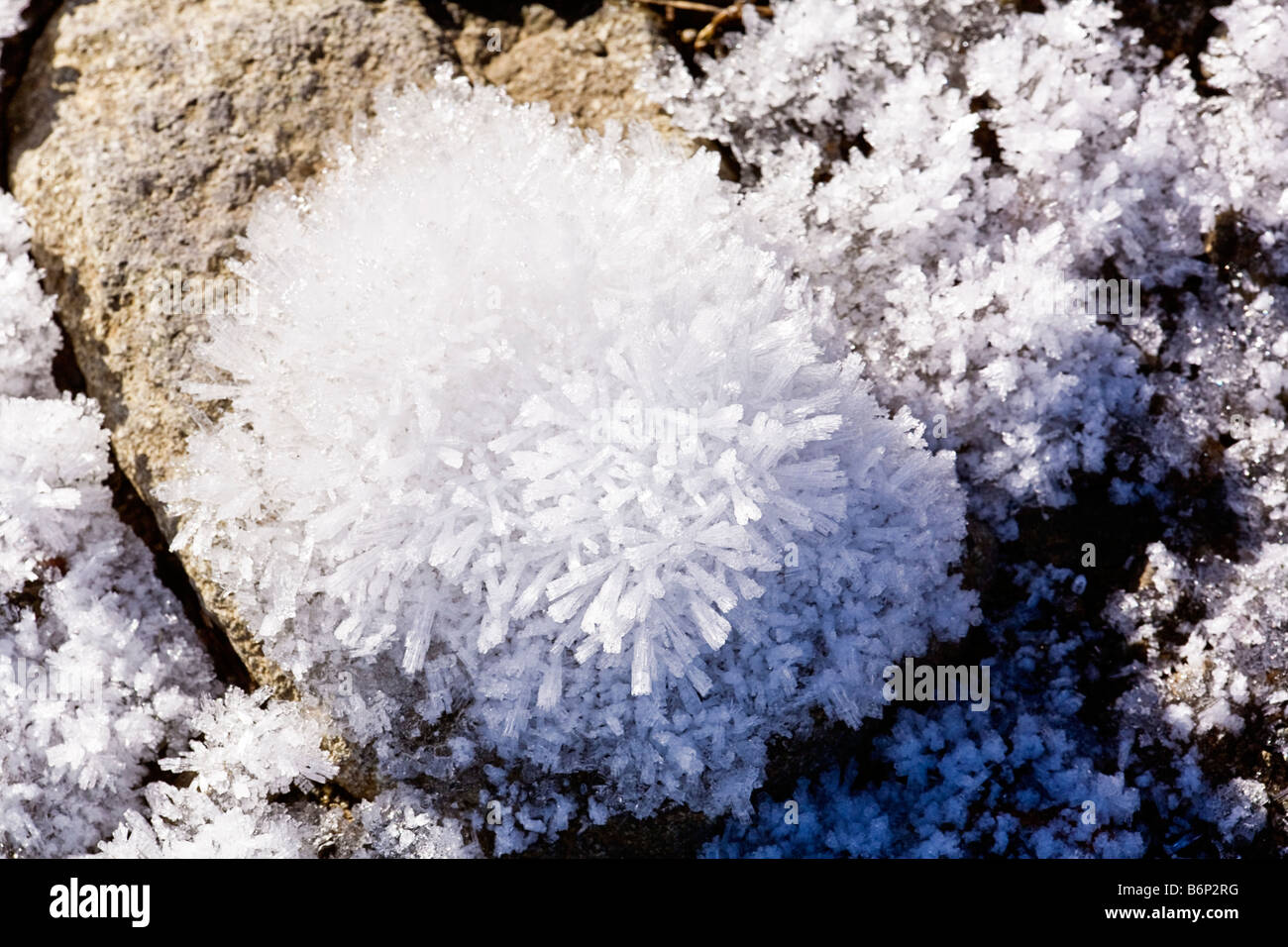 Ice Crystals Forming High Resolution Stock Photography and Images Alamy