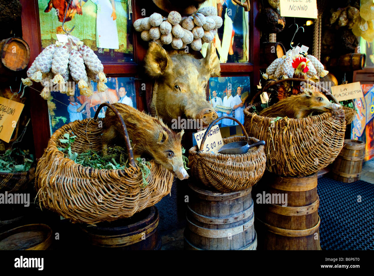 Wild boar and stuffed in a shop in Norcia in Italy Stock Photo