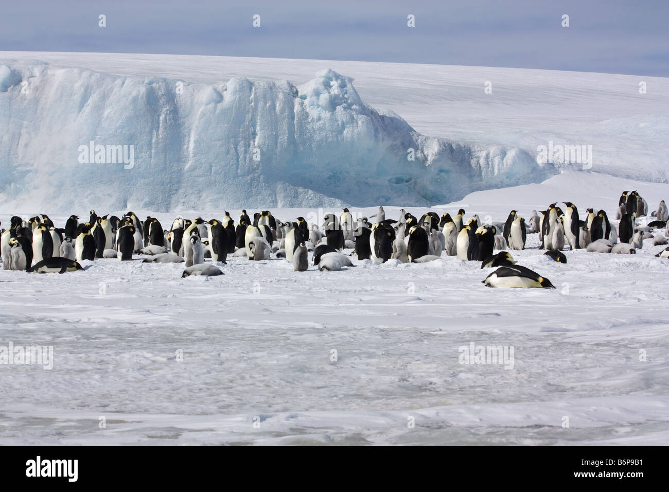 Wildlife scenery hi-res stock photography and images - Alamy