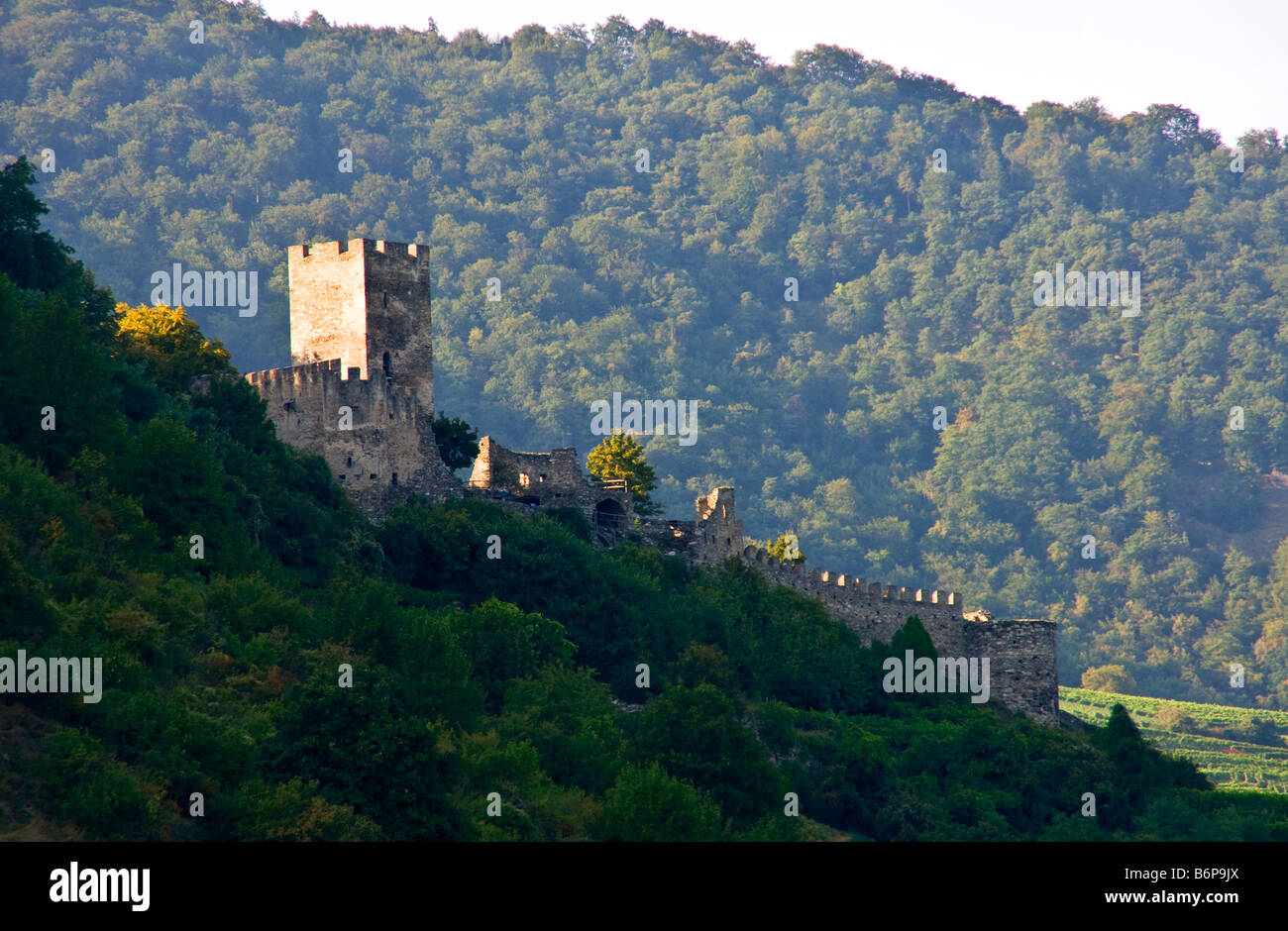 Danube River castle ruin along riverbank in scenic Wachau Valley Stock Photo