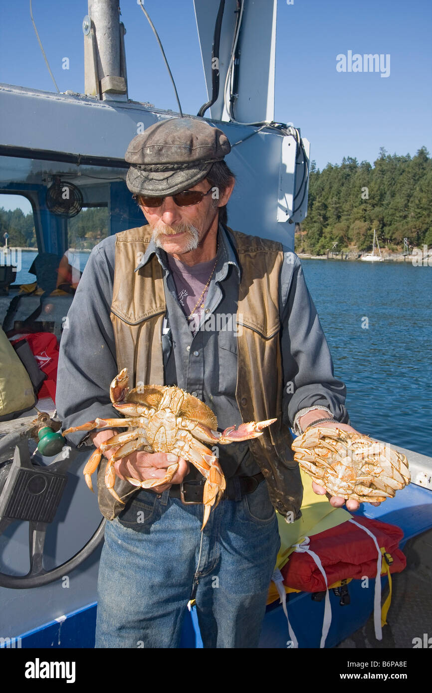 Fisherman inspects fresh caught dungeness crab to make sure they are