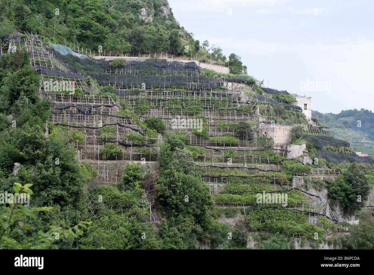 terraces for lemons on the Amalfi Coast Italy Stock Photo