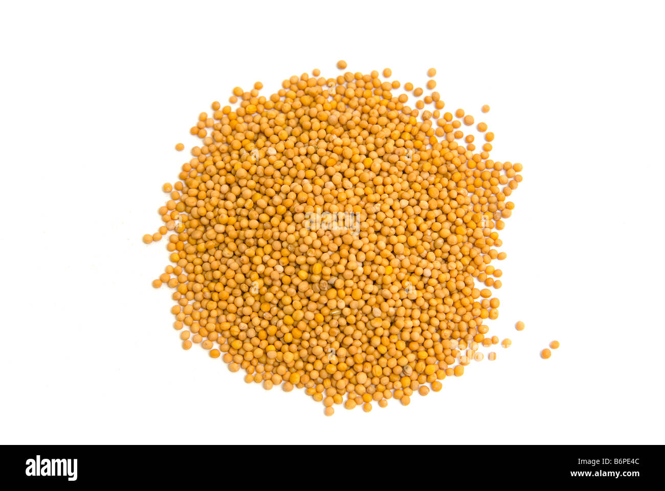Mustard seeds Stock Photo