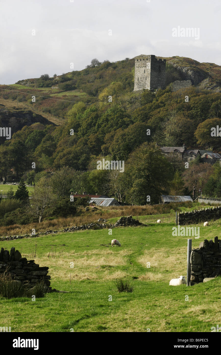 Dolwyddelan Castle Gwynedd Snowdonia National Park Wales Stock Photo