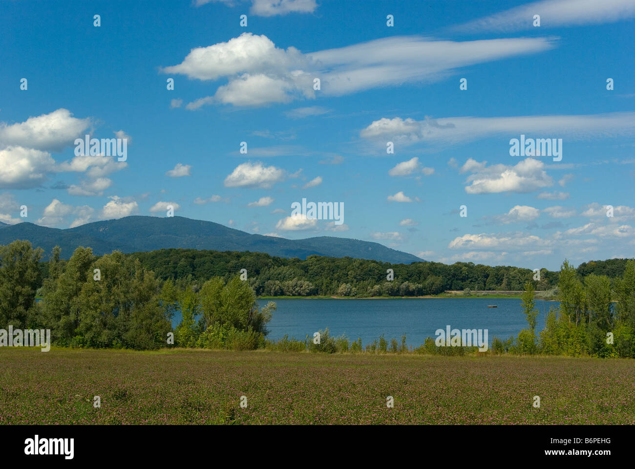 The michelbach lake in the Vosges Mountains, France, Europe Stock Photo