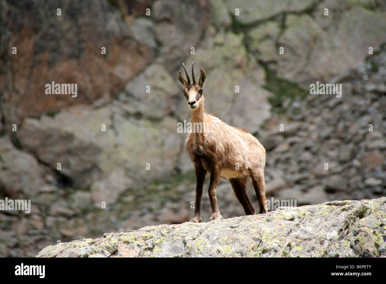 Maritiems hires stock photography and images Alamy