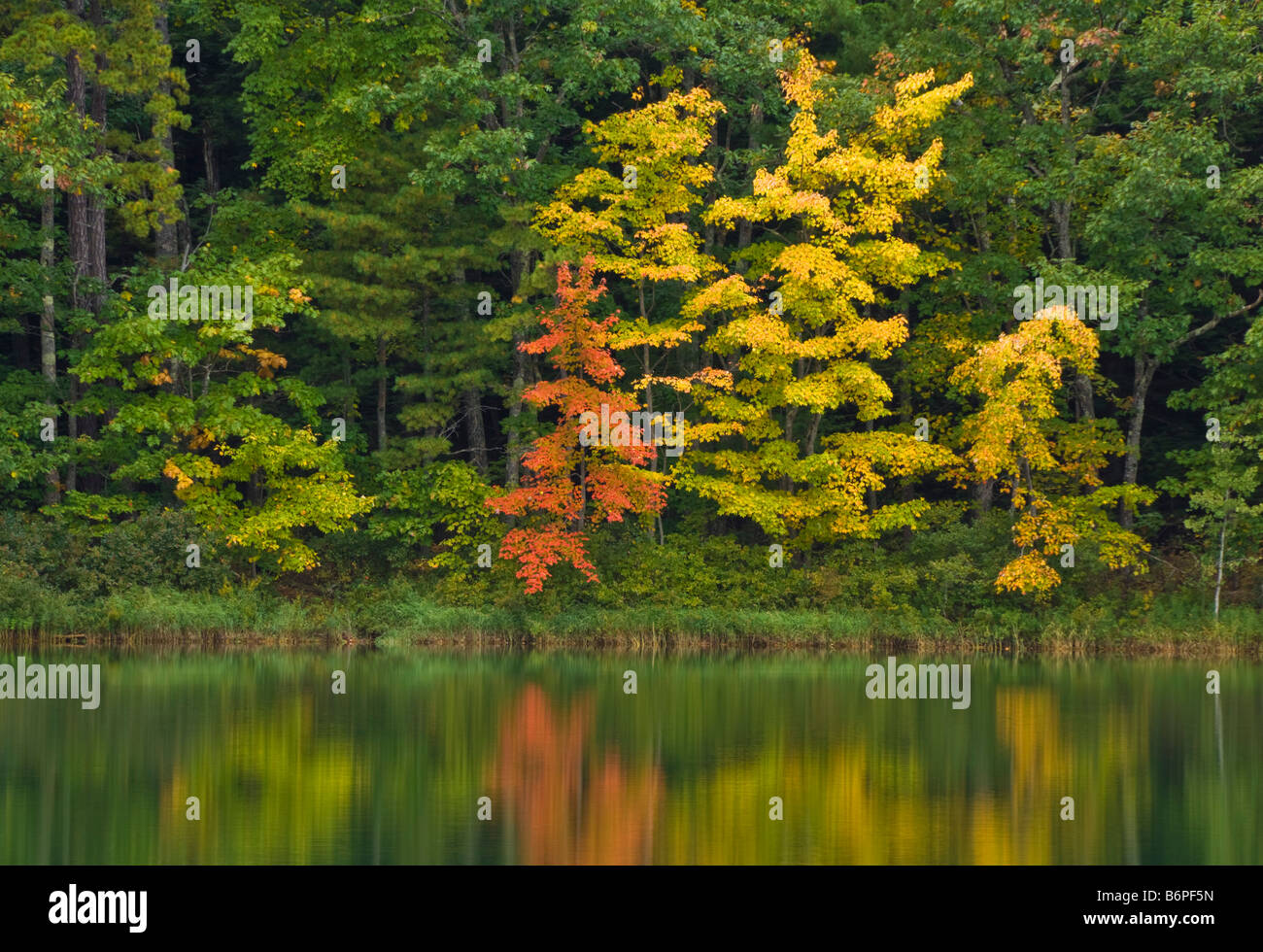 Reflections and autumn fall colours Echo lake near North Conway New England New Hampshire USA United States of America Stock Photo