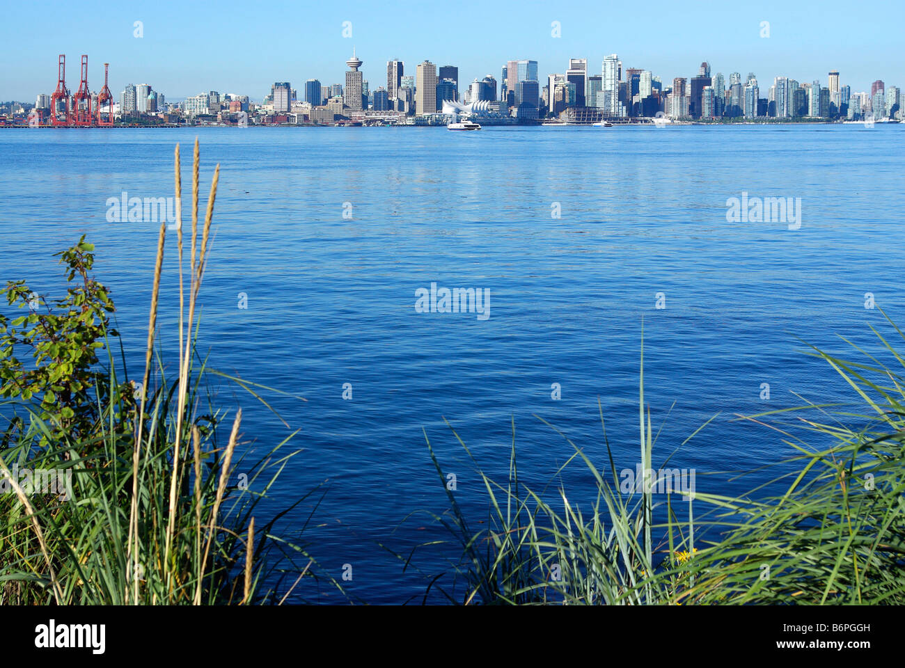Reed water park colombia hires stock photography and images Alamy