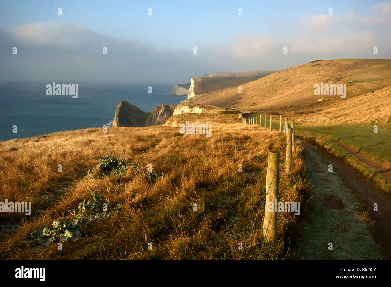 coastal path towards Durdle door and along cliffs Stock Photo Alamy