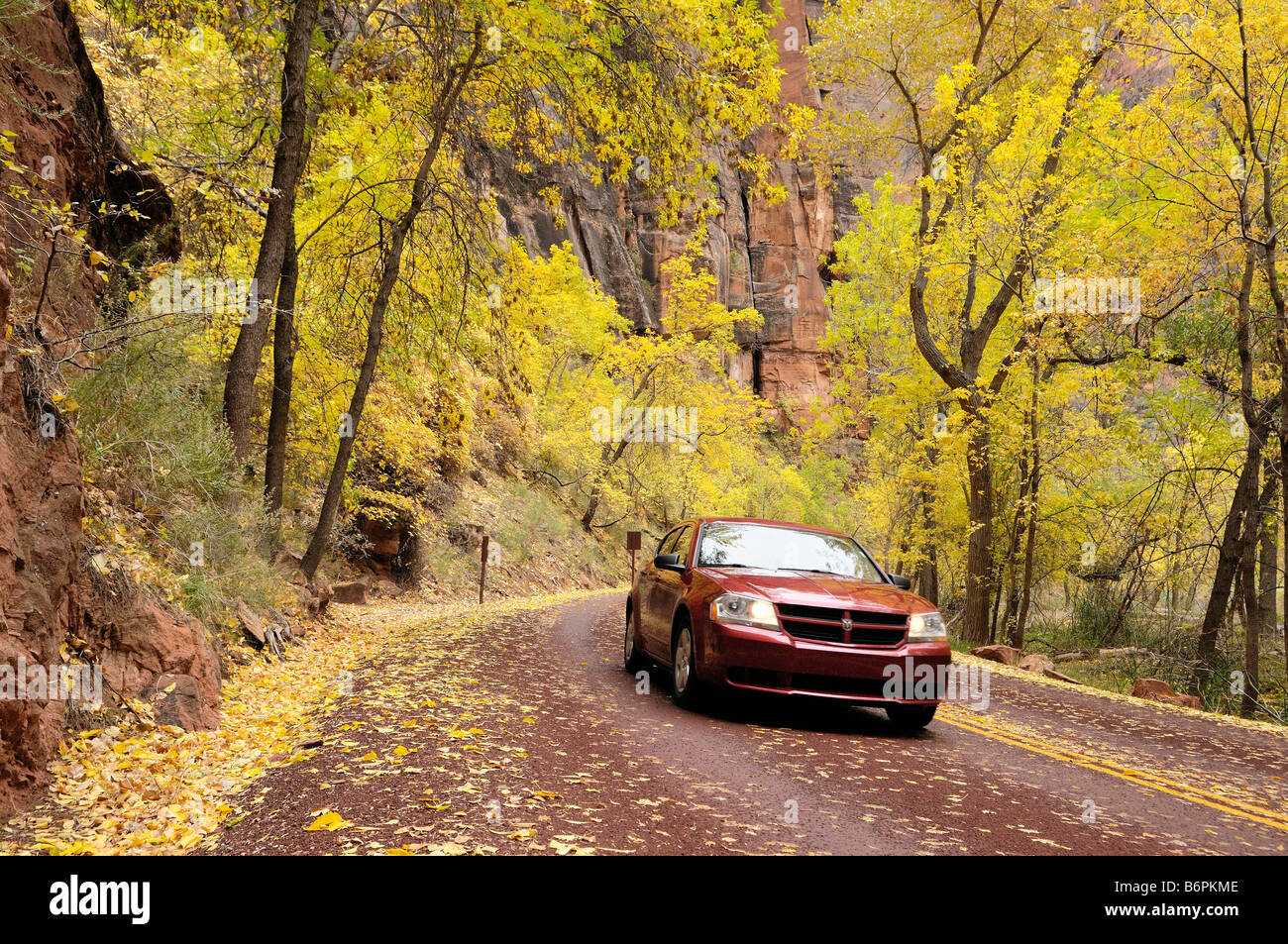 Dodge sedan cruises along the Zion Canyon Scenic Drive during peak autumn colors in Zion